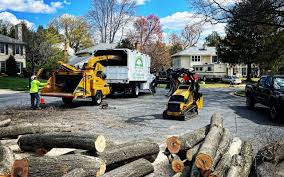 Best Lawn Mowing  in Wheatland, CA